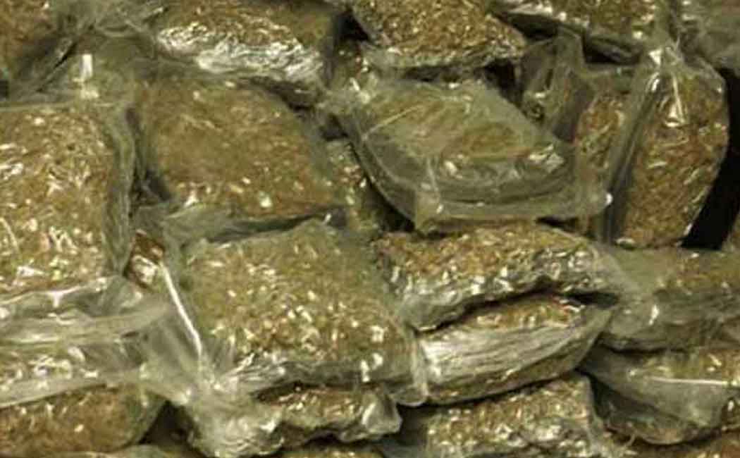 Police arrest cannabis dealers