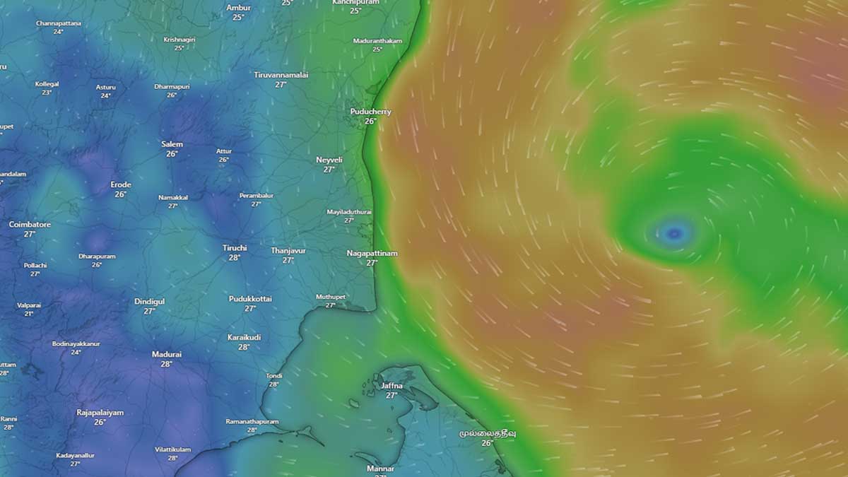 weather