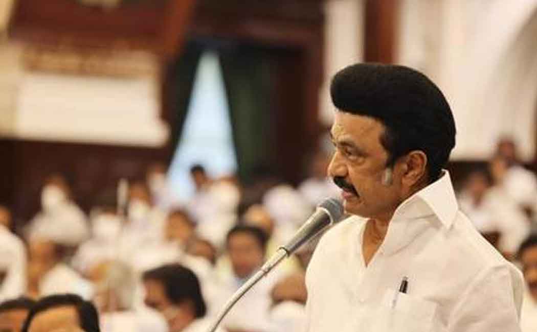 Details of 5 projects announced by the Chief Minister!