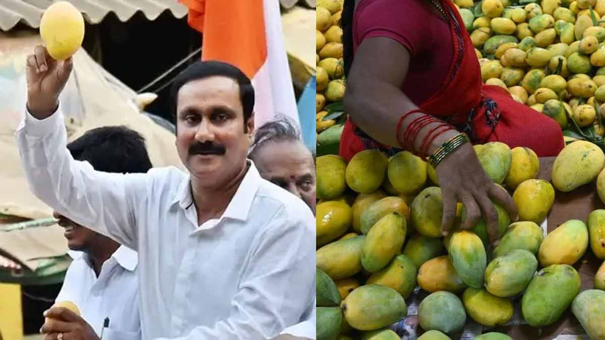 'Mango in the fall; I can't bear it' - Anbumani Aadangam