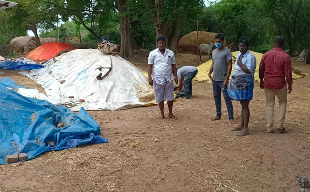 Employee suspended for fraud in paddy procurement