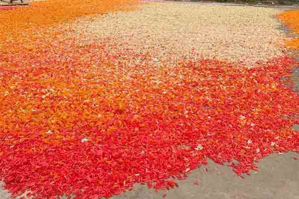 Excessive synthetic pigments; Sudden raid on food companie