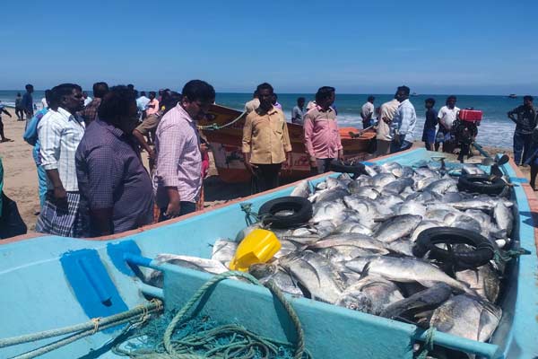 Fisheries officials in action for 1.5 tonnes of fish confiscated