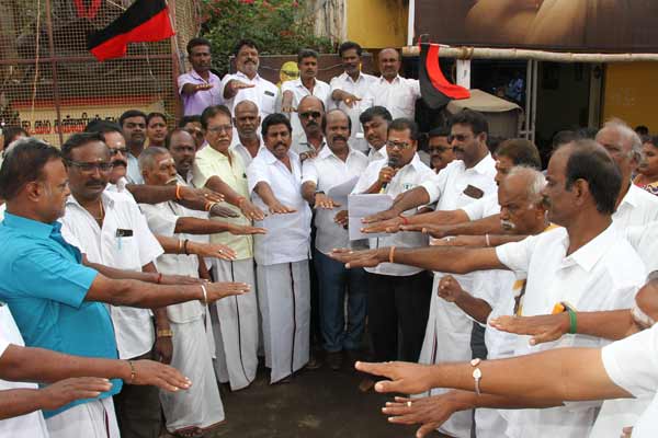 DMK members serve biryani public occasion cm stalin birthday