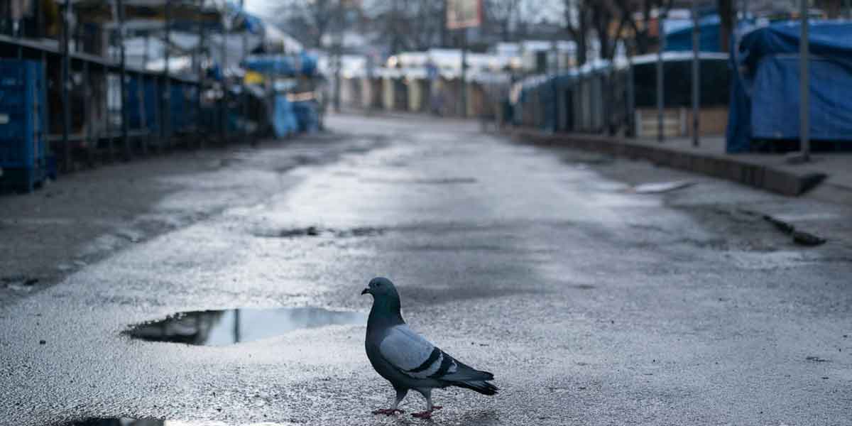 Curfew in the Ukrainian capital!