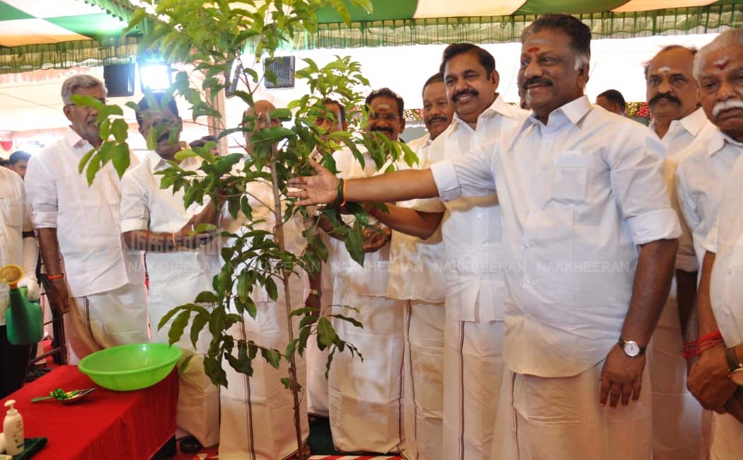 jayalalitha birthday function