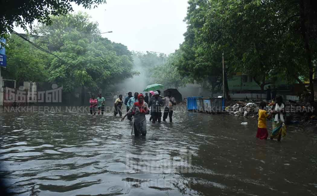 Continued heavy rain Damage to normal life in Chennai pictures