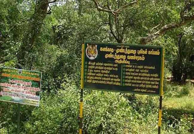 nellai district Kalakkad Mundanthurai Tiger Reserve