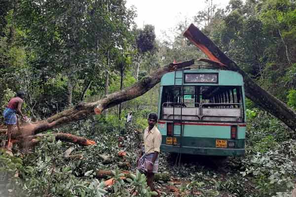 A tree fell on a bus on the Thandikudi hill road. Passengers fortunately survived !!