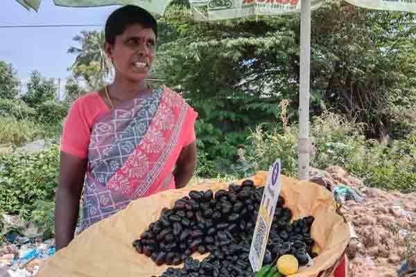 Salem Highways novel fruits
