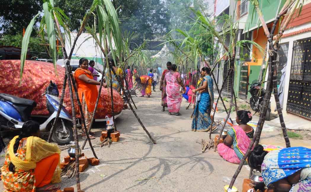 actor kushboo celebrates pongal