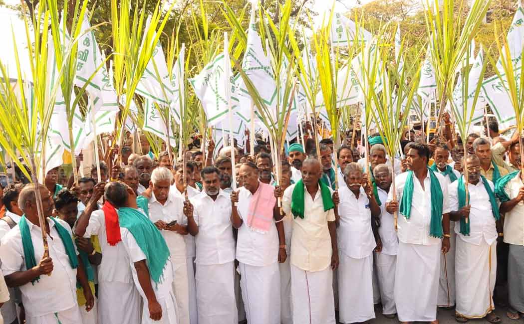 chennai egmore sugar cane farmers rate fixed issue