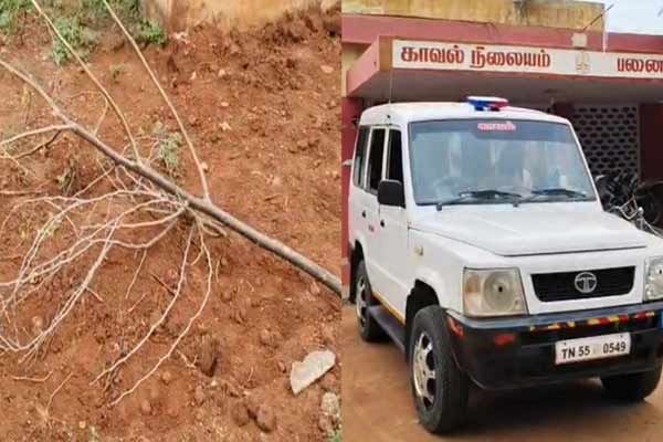 Girlfriend buries newborn baby and boyfriend arrested in pudukkottai