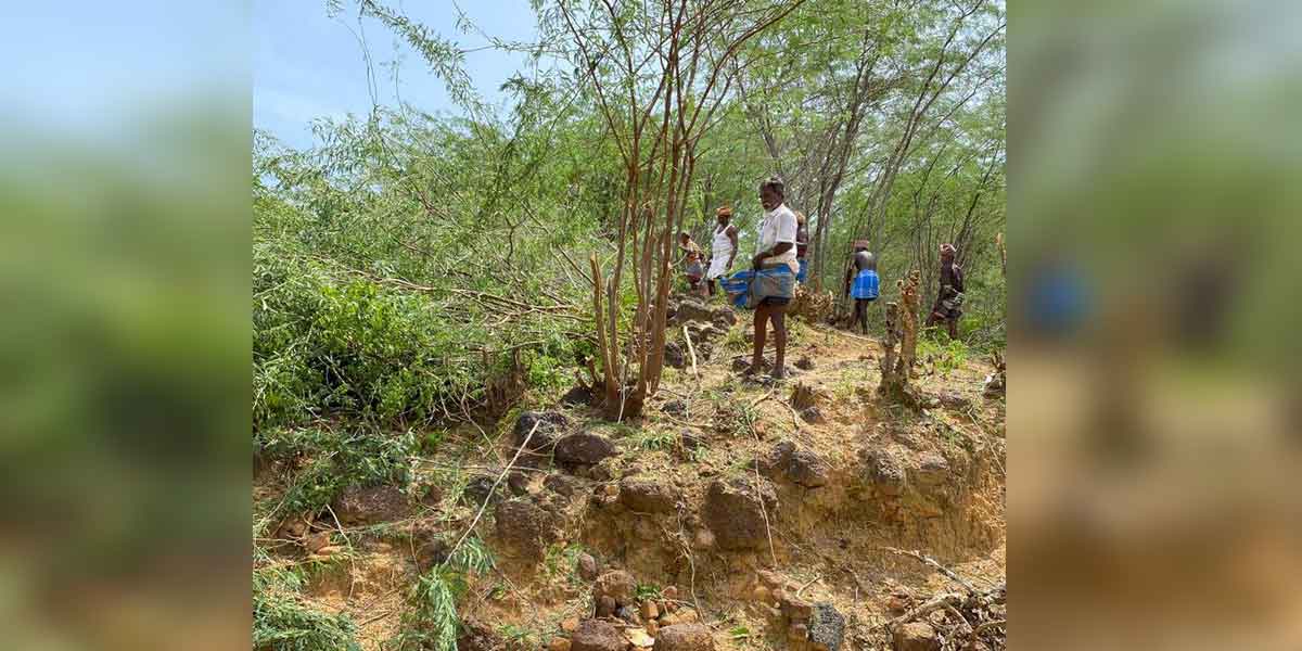 Women who cut down the juniper trees that occupied the wall of Porpanaikottai and come to see the excavation site with interest!