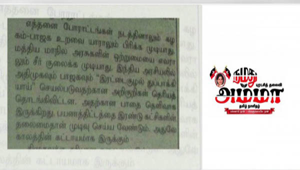 amma paper