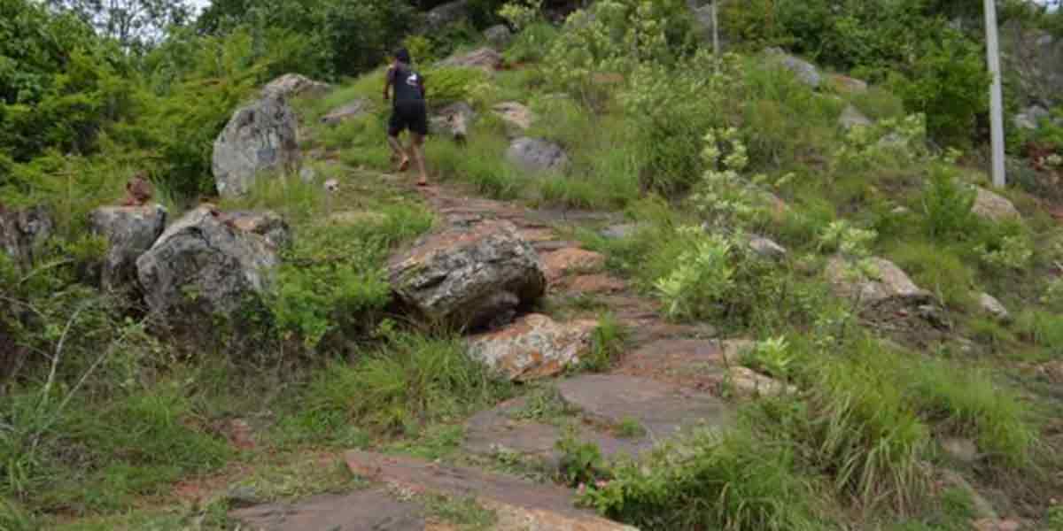 incident in krishnagiri