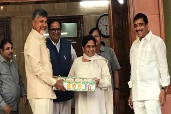 chandrababu naidu