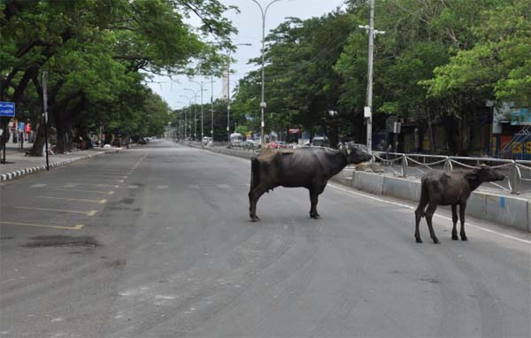 chennai full lockdown - Thirumangalam, Anna Nagar - Pictures