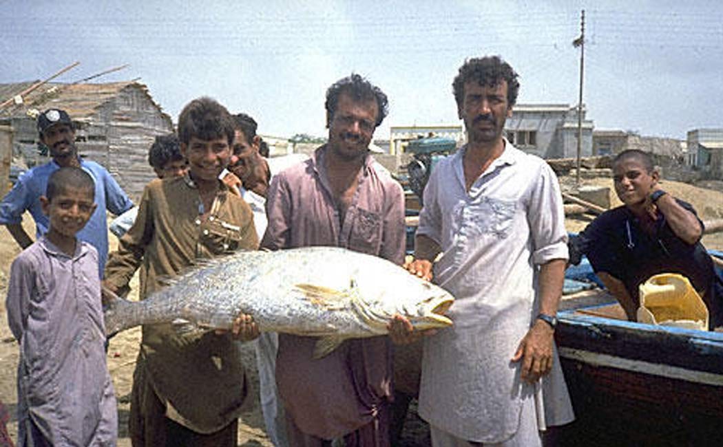 Fisherman became a millionaire overnight after catching sowa golden fish in Pakistan