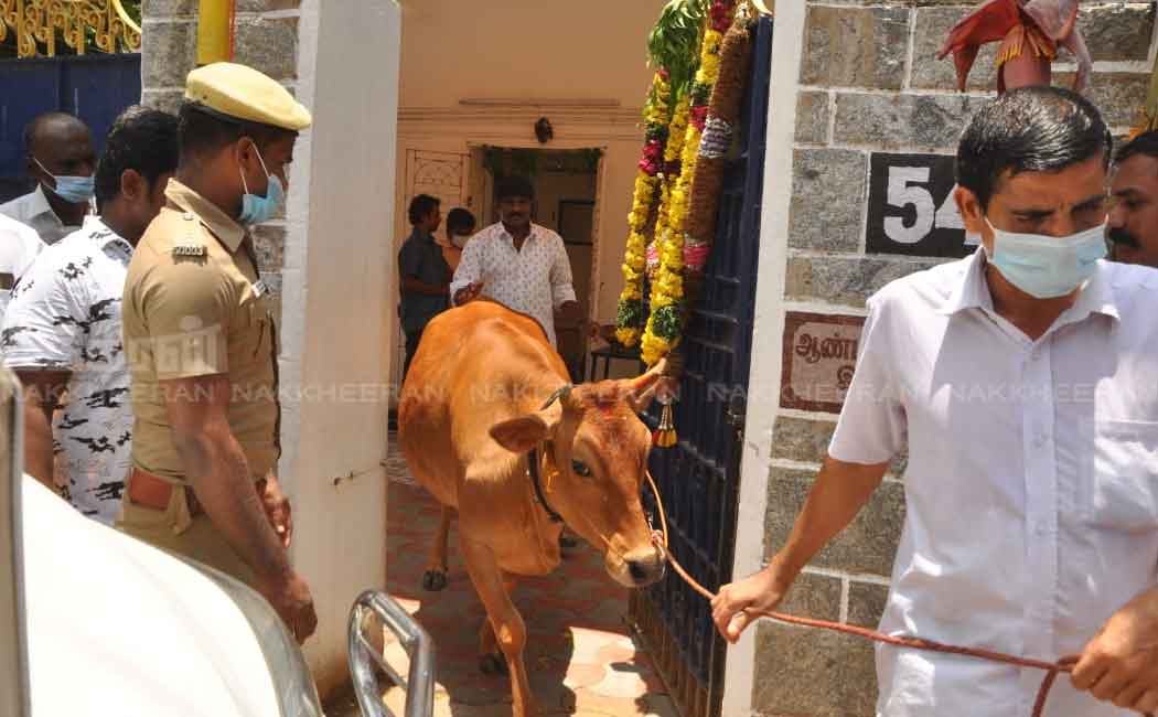 DMDK leader Vijayakanth celebrates birthday