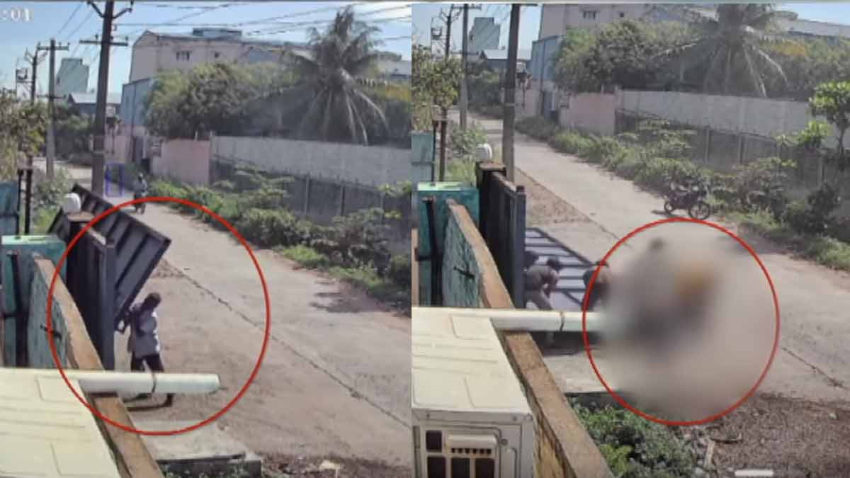 Iron gate falls on guard - police investigate