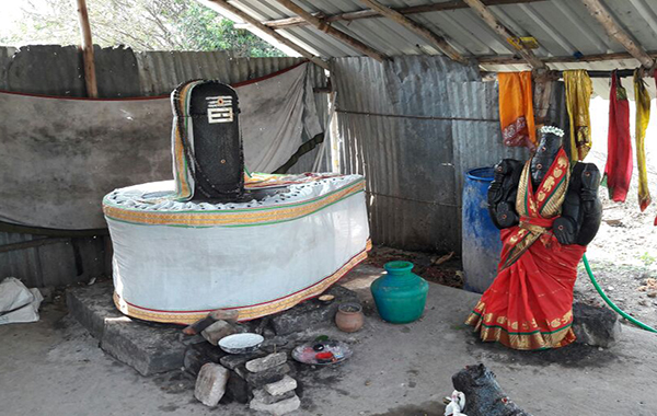 kalvettu
