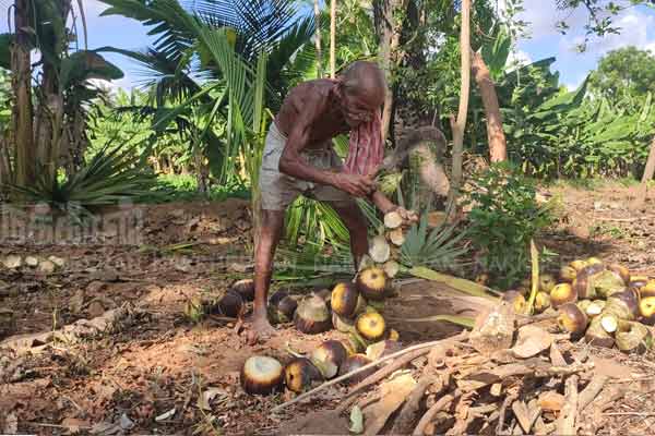 98-year-old man who worked tirelessly passed away