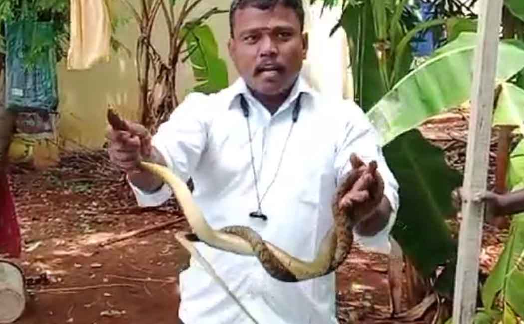 “Snakes must remain alive for the balance of nature” - Snake savior Jeevan Arulsamy!