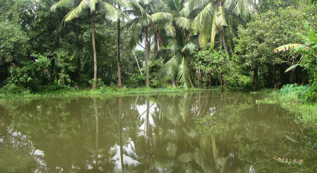INCIDENT IN SUSEENTHRAM