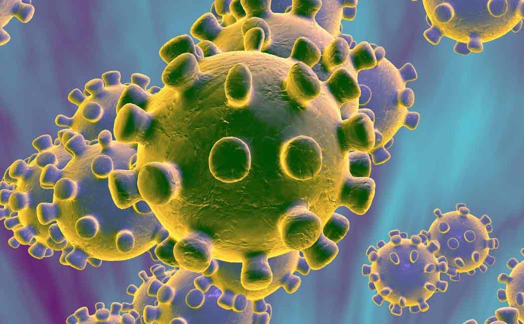 corona virus fear in india