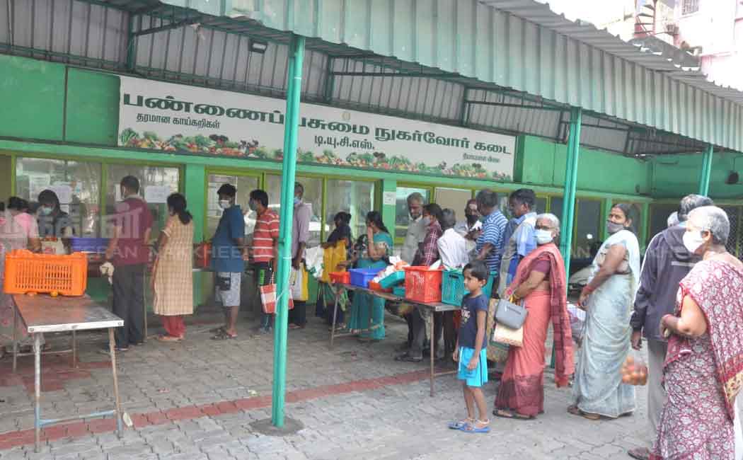 public to buy tomatoes at farm green stores