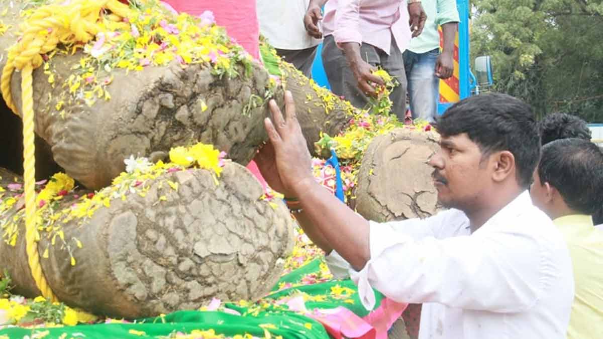 Gandhimati elephant passedaway-screaming devotees