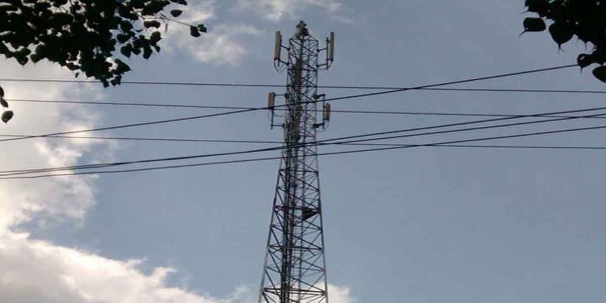 "I will go down only if Udayanidhi Stalin comes" - the woman who climbed the cell phone tower