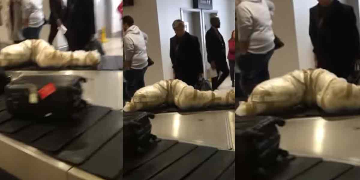 Did the body arrive on the airport conveyor? Incident that frightened the passengers!