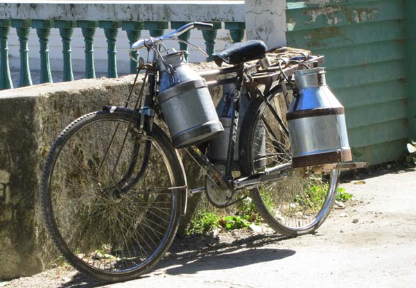 milk cycle
