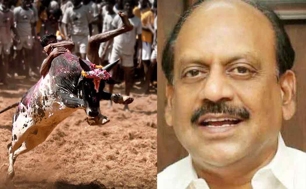 Jallikattu competition to be held in Chennai