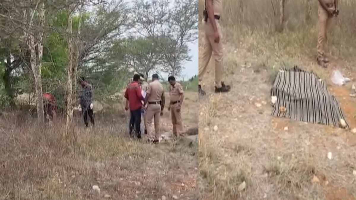 An elderly couple who went to herd goats mysteriously lose their live; Another shock in Kangeyam