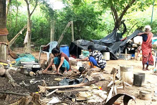 life of 3 girls living under a tree without a home