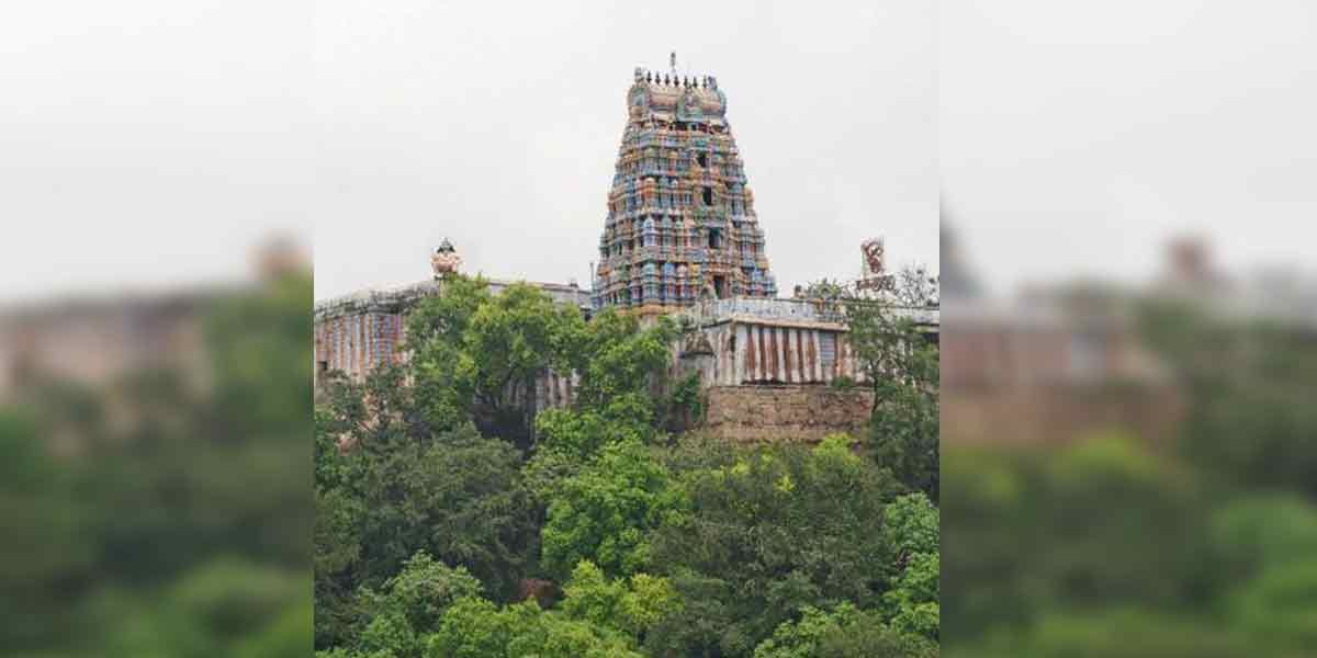 'Viralimalai Subramaniasamy Temple festival in Tamil' - Divine Tamil petition!