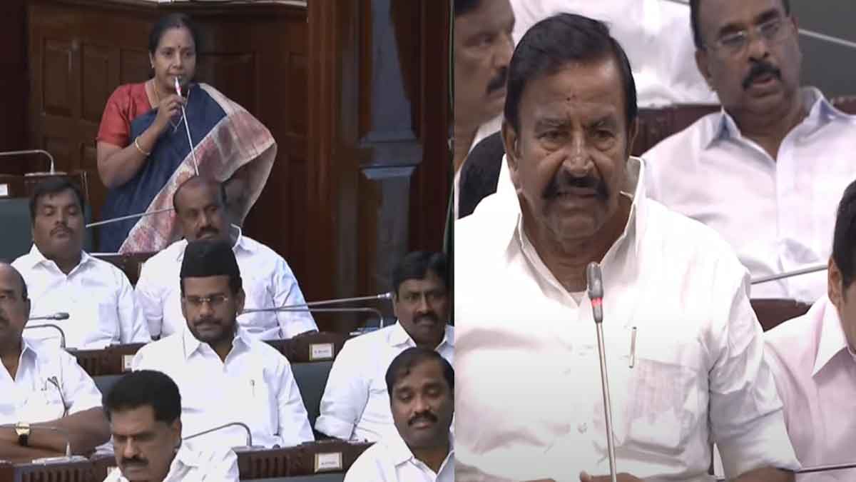 BJP-Minister K.N. Nehru's explanation for the attention-grabbing resolution on 'street dog bites'