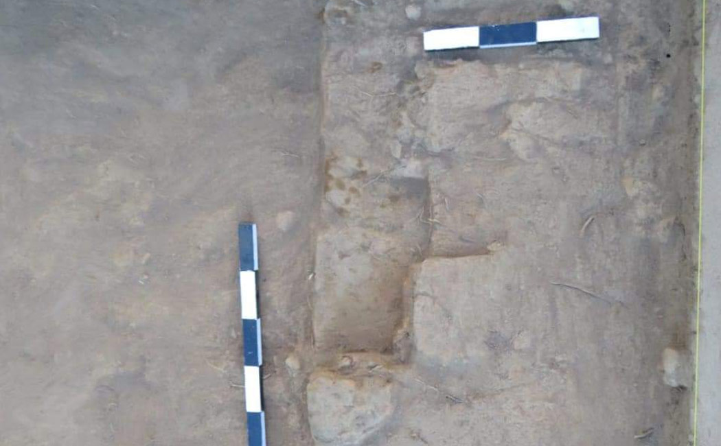 Brick construction within 19 cm in Polpanaikotta Excavation says Minister Thangam thennarasu