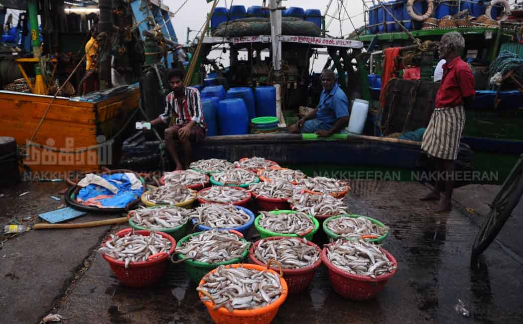 Kasimedu fish market