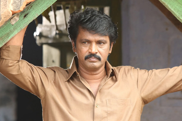 cheran about pa.ranjith vikram thangalaan