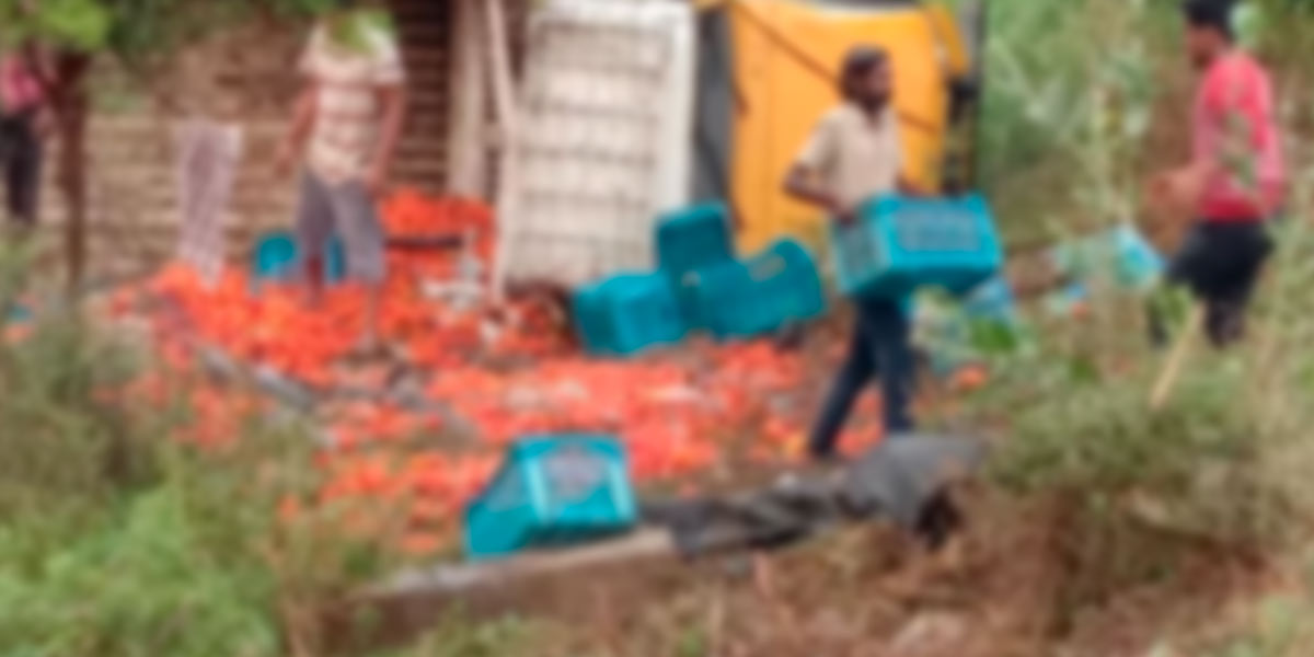A van carrying tomatoes overturned in an accident - Tamil Nadu border traffic damage