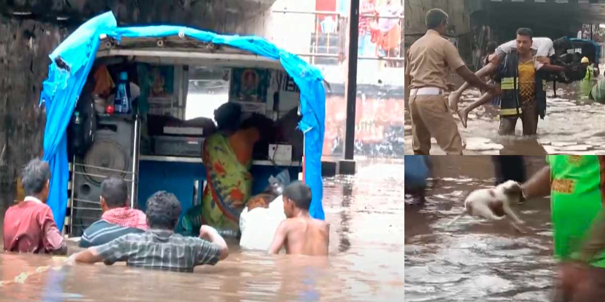 The lashing summer rains; A blind band trapped in water