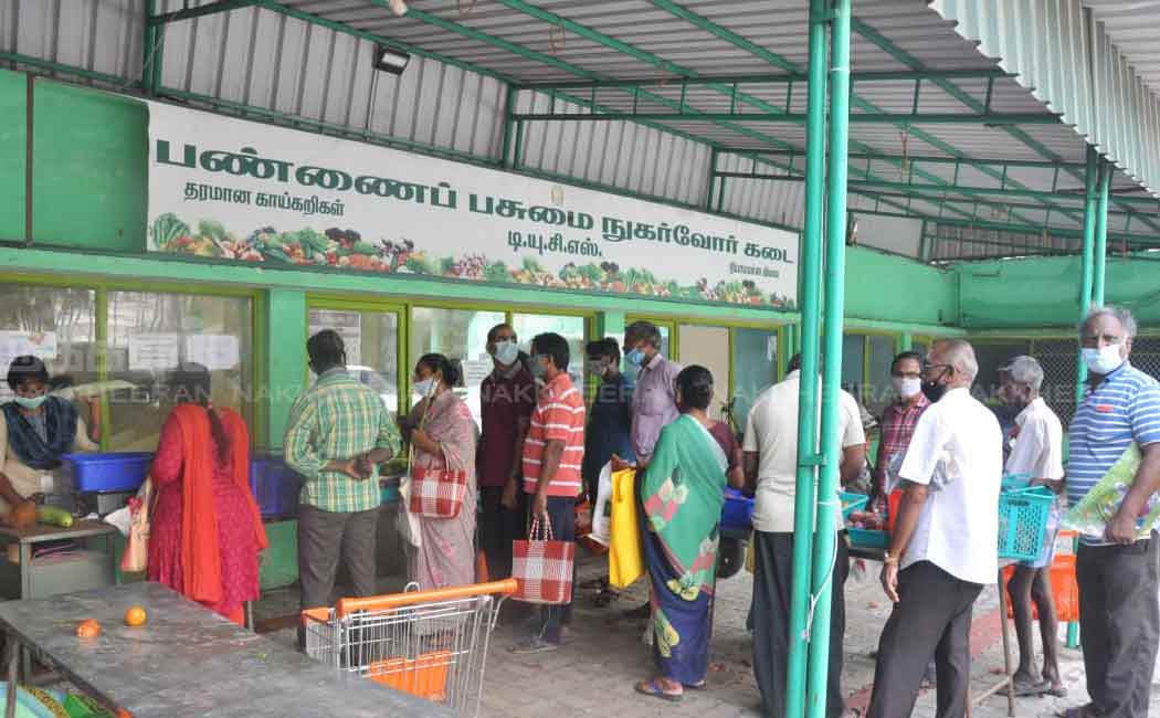 public to buy tomatoes at farm green stores