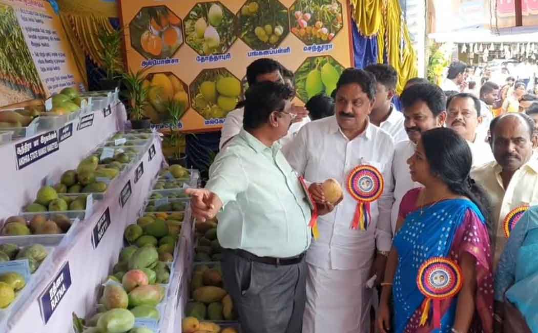 Inauguration of 29th Mangani Festival at Krishnagiri