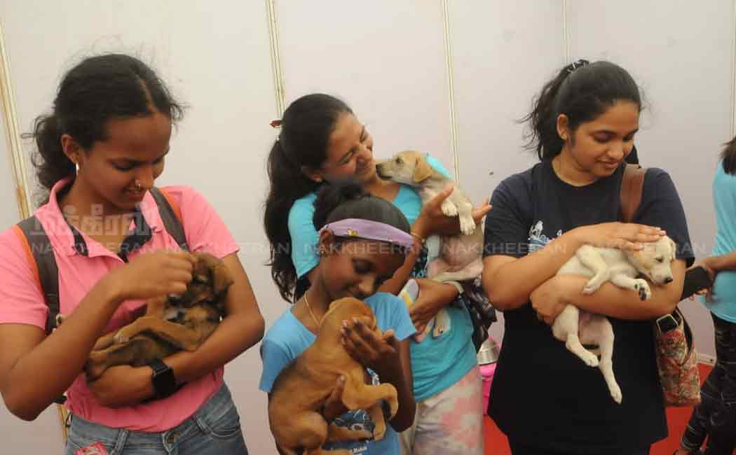 pet and dog show in chennai nandanam ymca ground