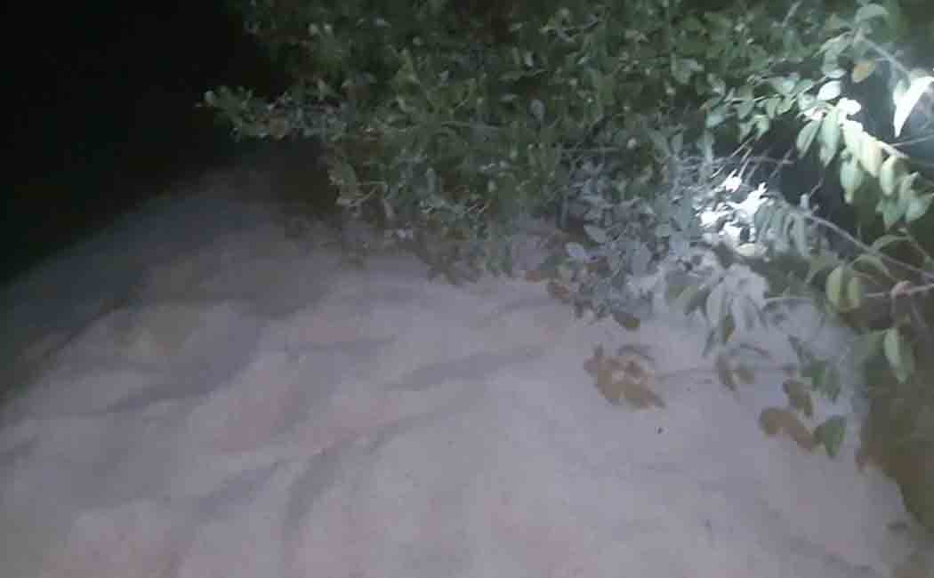 10 tons of ration rice thrown into the river! Police looking for mysterious people!