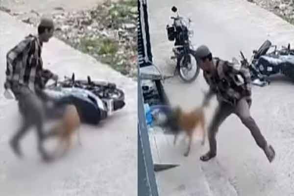A dog chased and bit a school boy on a two-wheeler